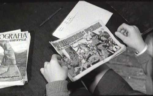 DEL ROSA AL AMATILLO