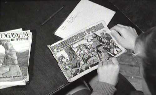 DEL ROSA AL AMATILLO