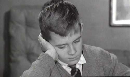 DEL ROSA AL AMATILLO