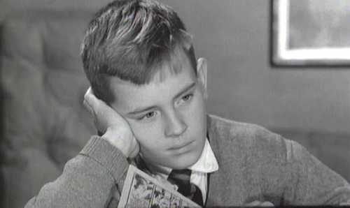 DEL ROSA AL AMATILLO