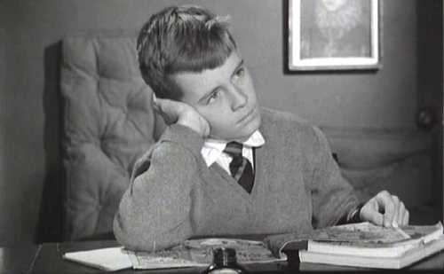 DEL ROSA AL AMATILLO