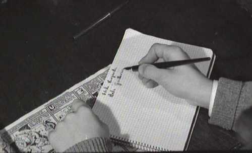 DEL ROSA AL AMATILLO