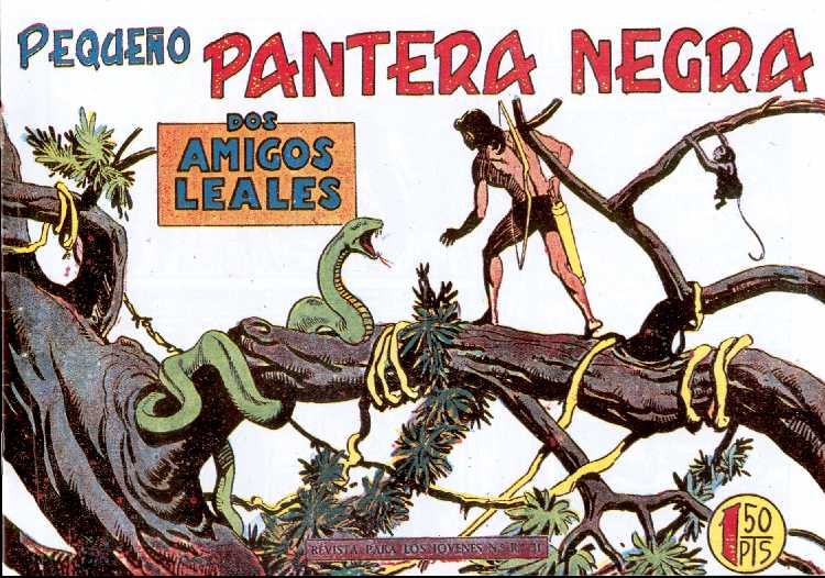 PANTERA NEGRA 161