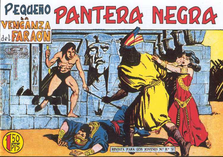 PANTERA NEGRA 167