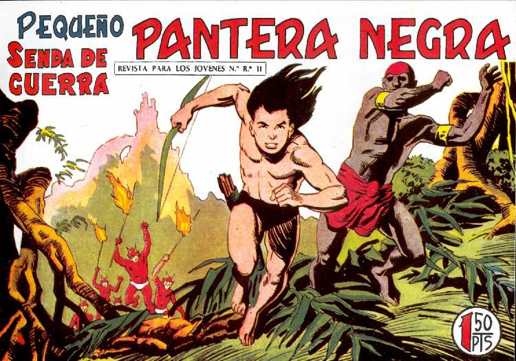 PANTERA NEGRA 172