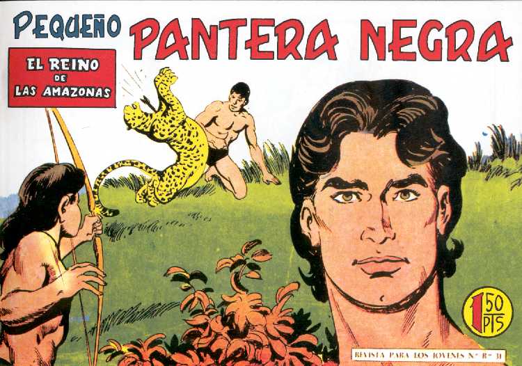 PANTERA NEGRA 178