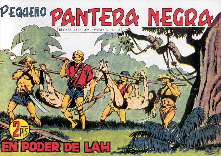 PANTERA NEGRA 206