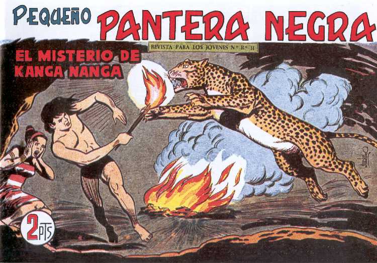 PANTERA NEGRA 216