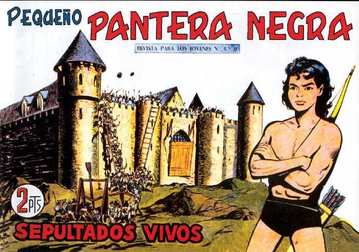 PANTERA NEGRA 228