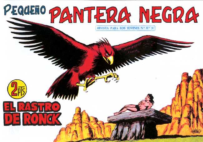 PANTERA NEGRA 243