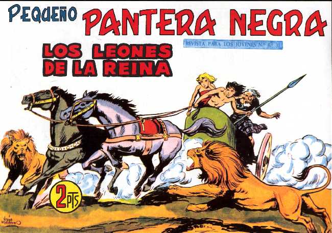 PANTERA NEGRA 247