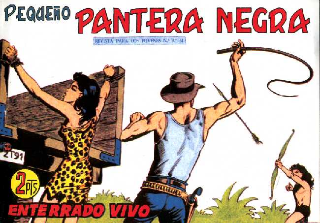 PANTERA NEGRA 251