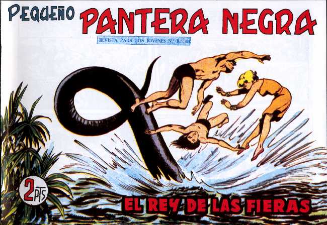 PANTERA NEGRA 255