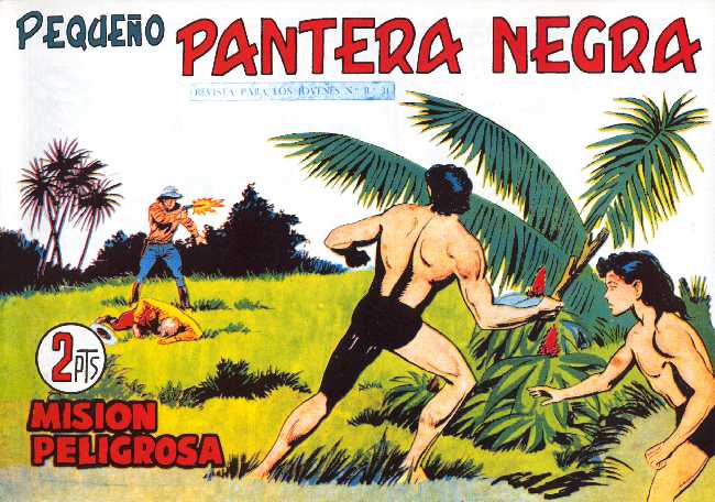 PANTERA NEGRA 276