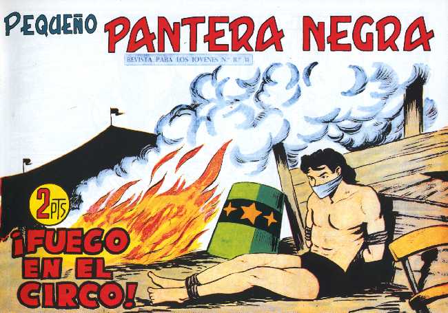PANTERA NEGRA 279