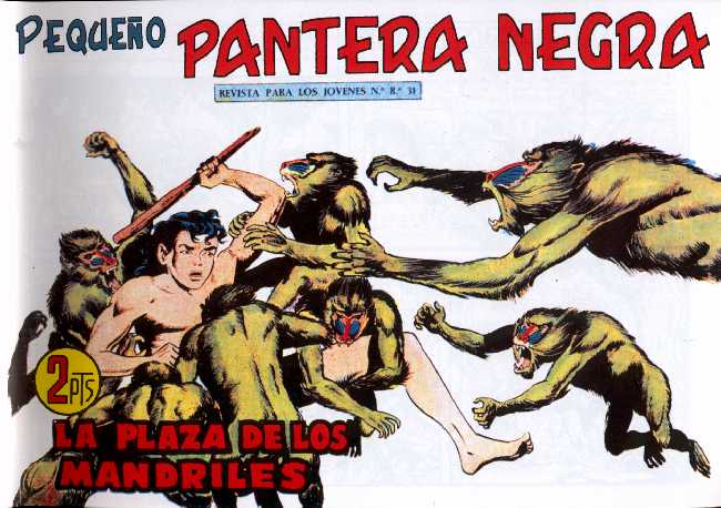PANTERA NEGRA 285