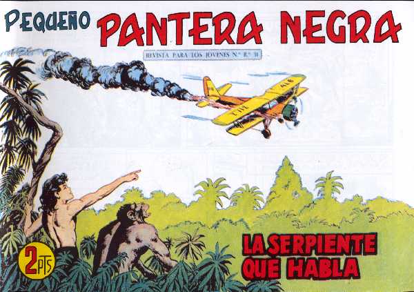 PANTERA NEGRA 287
