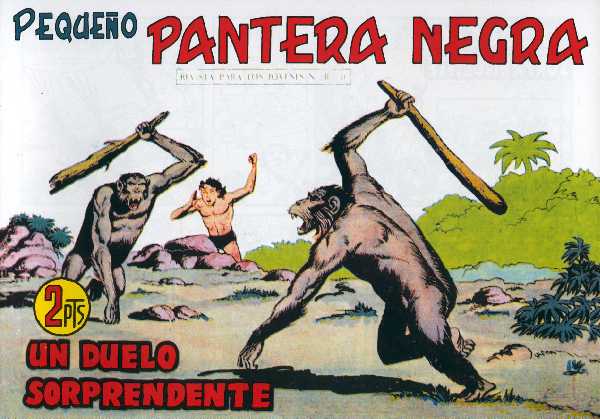 PANTERA NEGRA 293