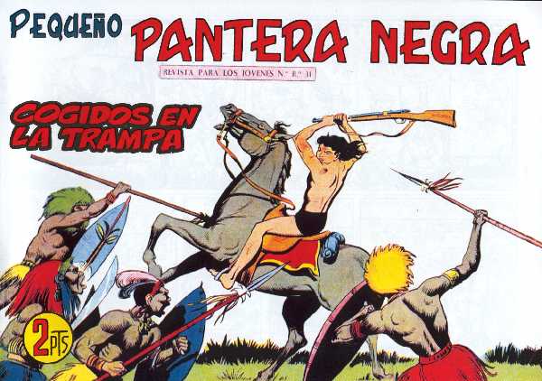 PANTERA NEGRA 296