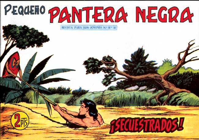PANTERA NEGRA 305