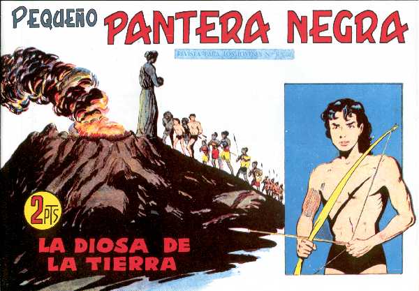 PANTERA NEGRA 307