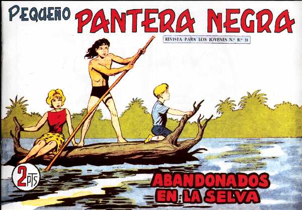 PANTERA NEGRA 312