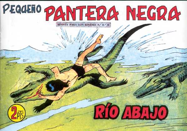 PANTERA NEGRA 313