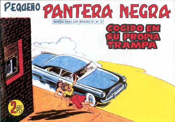 PANTERA NEGRA 315
