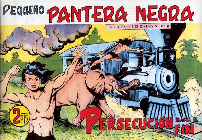 PANTERA NEGRA 329