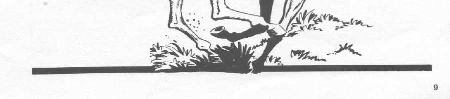 ARTICULO DE FRANSISCO TADEO JUAN PARA LA REVISTA SUNDAY N�10